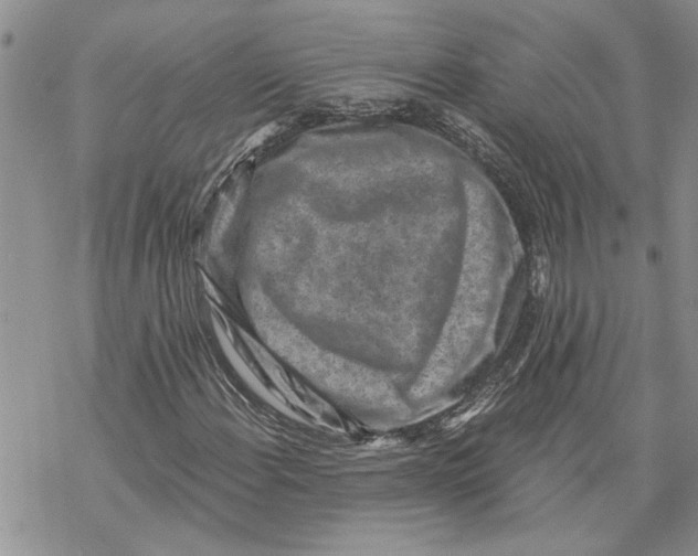 X0000069831108200606091439