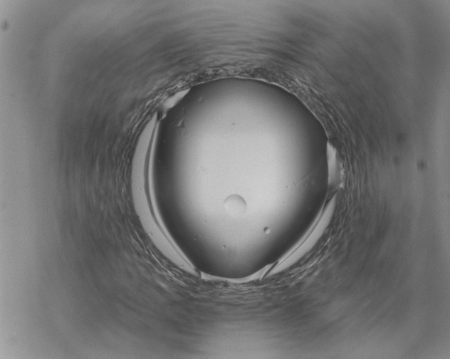 X0000069831109200606091439