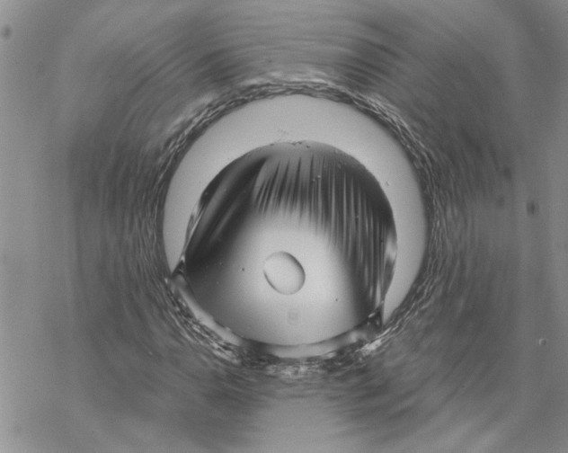 X0000069831110200606091439