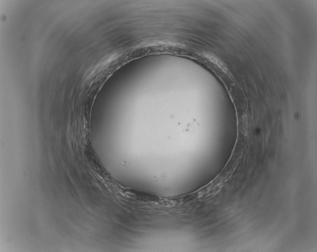 X0000069831111200606091439