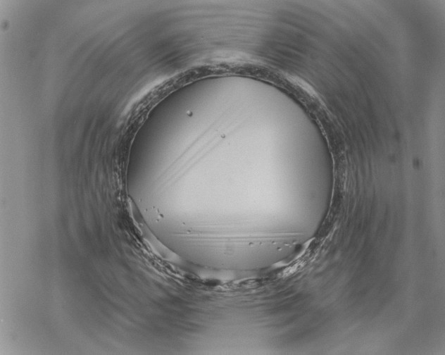 X0000069831112200606091439