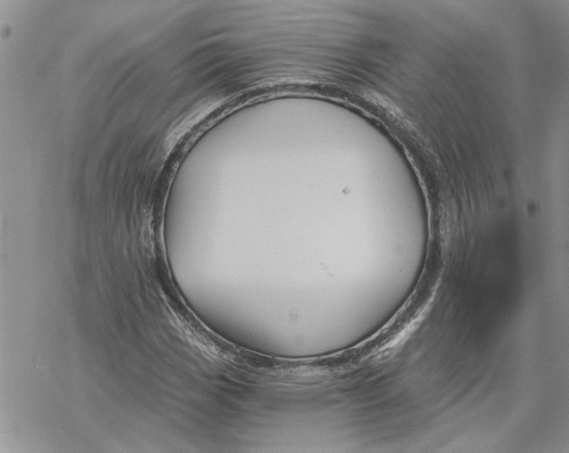 X0000069831113200606091439