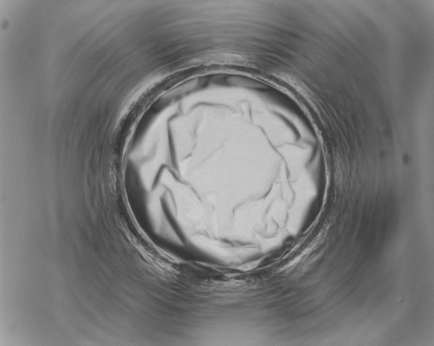 X0000069831115200606091439