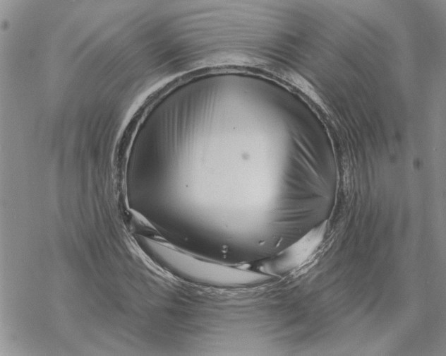 X0000069831116200606091439