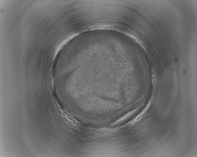 X0000069831117200606091439