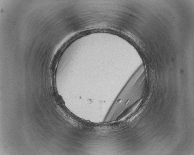 X0000069831118200606091439