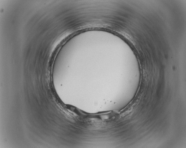 X0000069831119200606091439