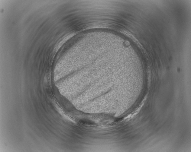 X0000069831121200606091439