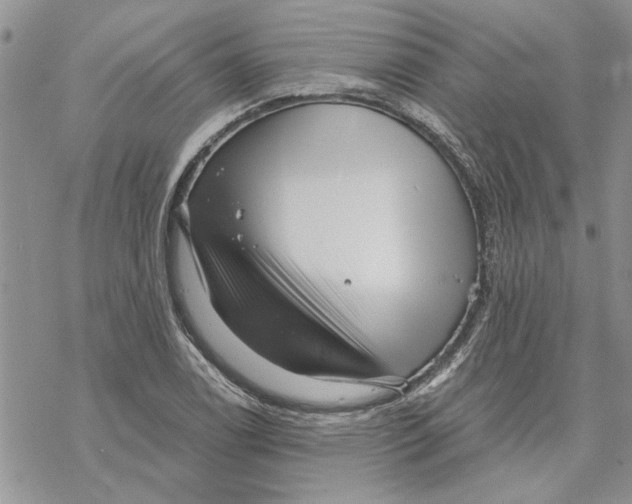 X0000069831122200606091439