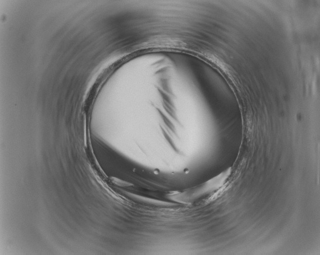 X0000069831123200606091439