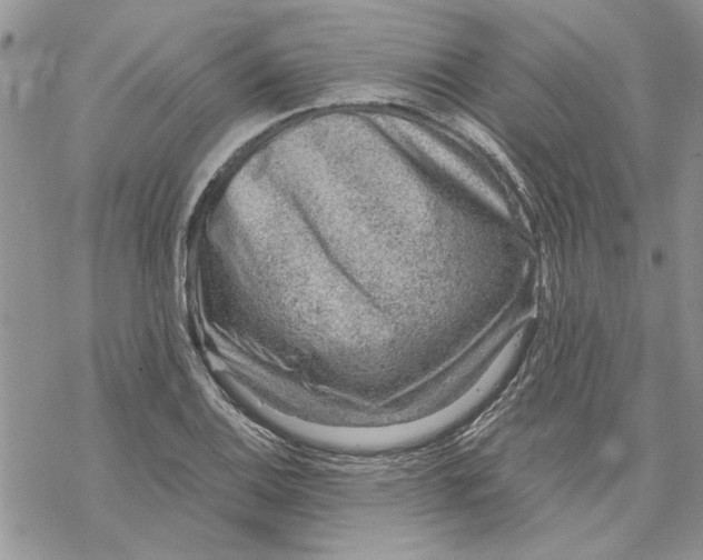 X0000069831124200606091439