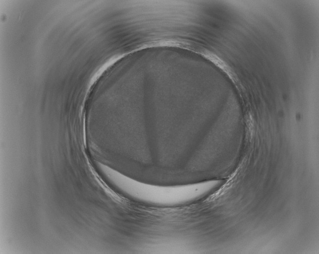 X0000069831127200606091439