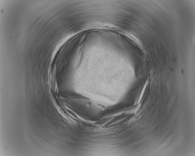 X0000069831128200606091439