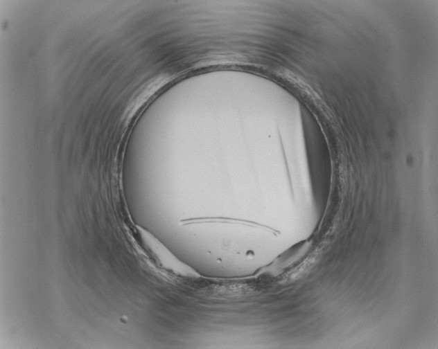 X0000069831129200606091439