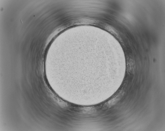 X0000069831130200606091439