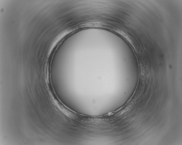 X0000069831131200606091439