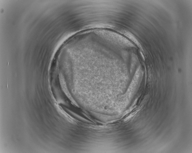 X0000069831132200606091439