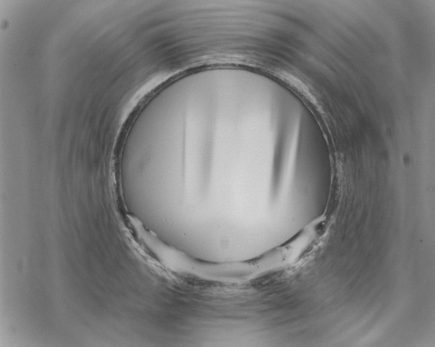 X0000069831133200606091439