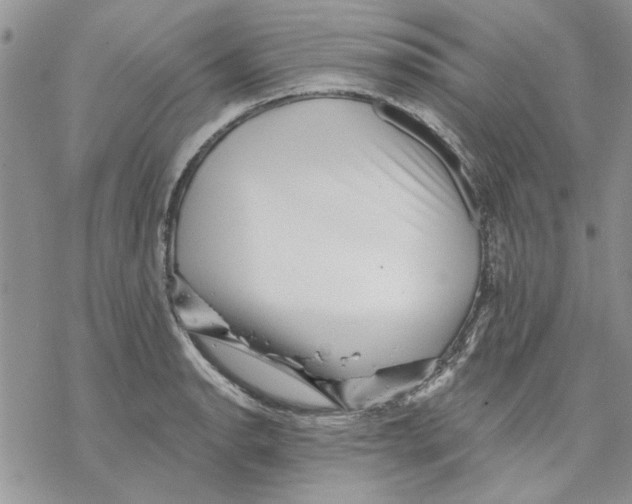 X0000069831134200606091439