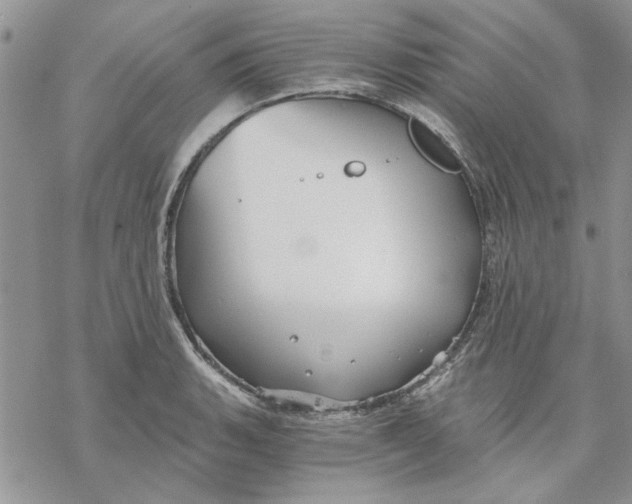 X0000069831135200606091439