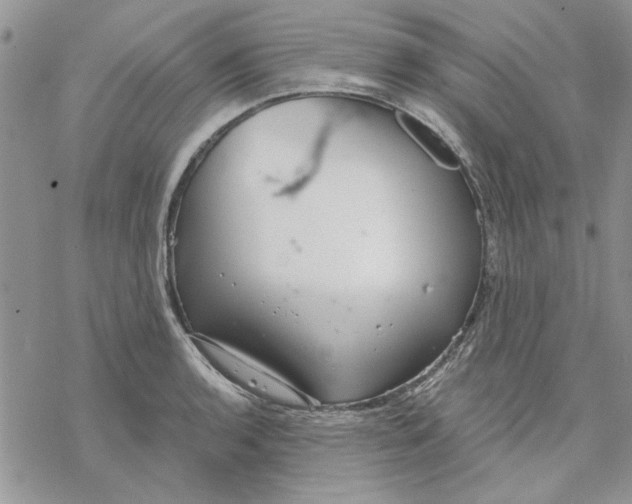 X0000069831136200606091439