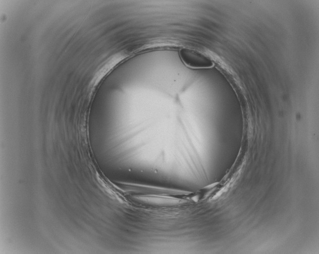 X0000069831137200606091439