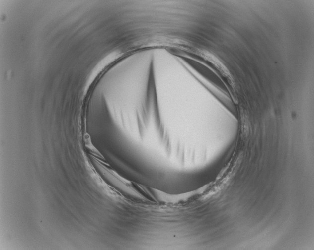 X0000069831138200606091439