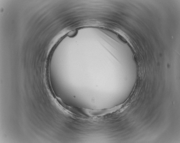 X0000069831139200606091439