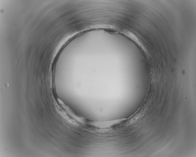 X0000069831140200606091439