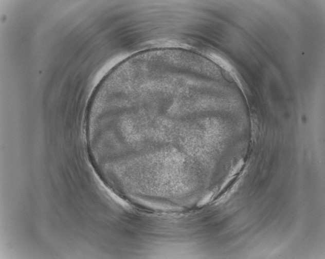 X0000069831141200606091439