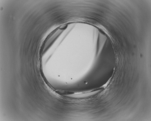 X0000069831143200606091439