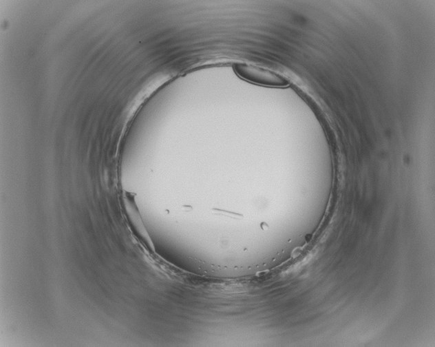 X0000069831145200606091439