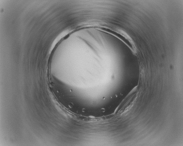 X0000069831146200606091439