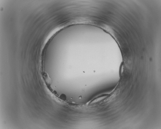 X0000069831147200606091439