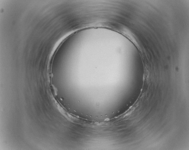 X0000069831148200606091439