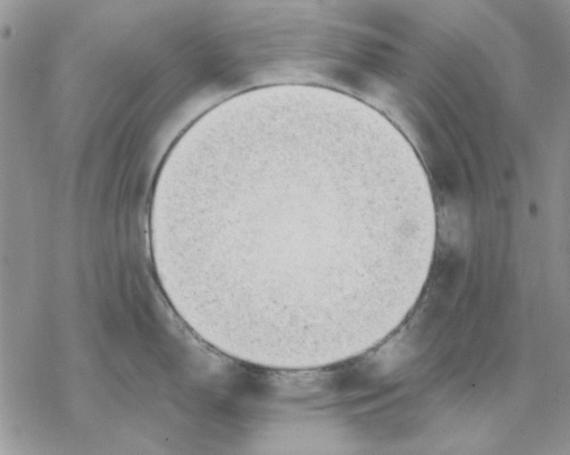 X0000069831150200606091439