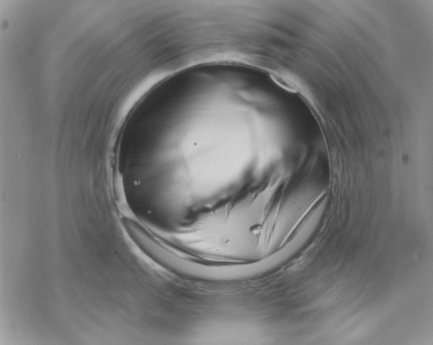 X0000069831151200606091439