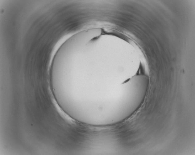 X0000069831152200606091439