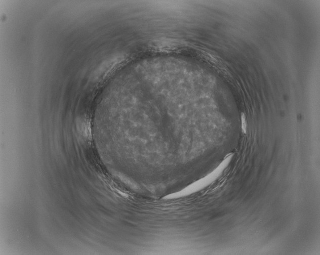 X0000069831155200606091439