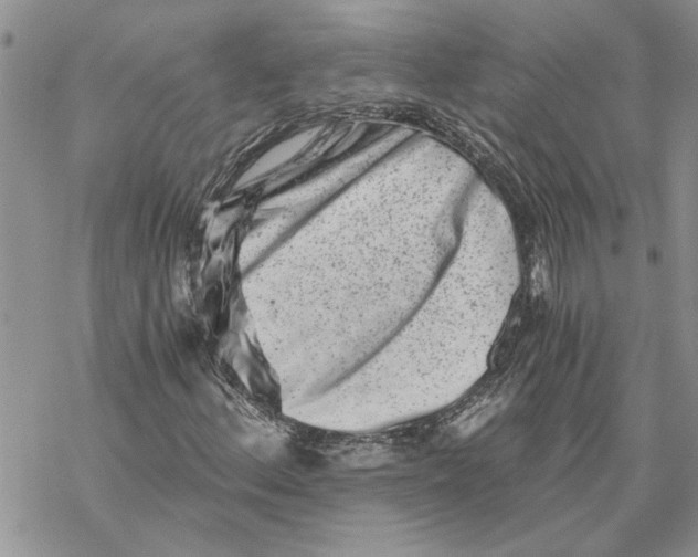 X0000069831156200606091439