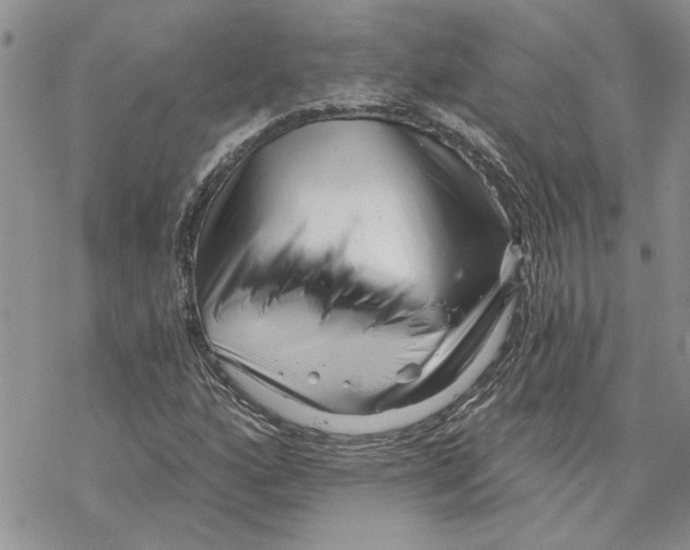 X0000069831160200606091438