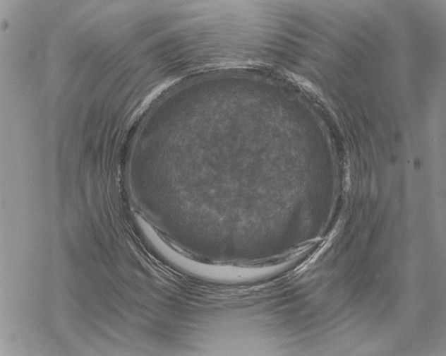 X0000069831161200606091438