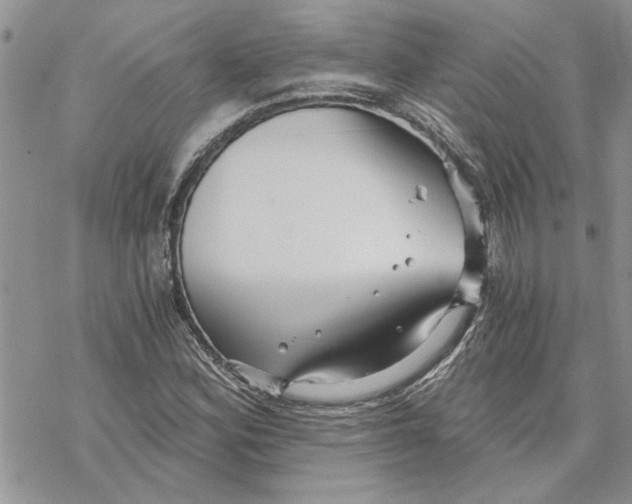 X0000069831164200606091438