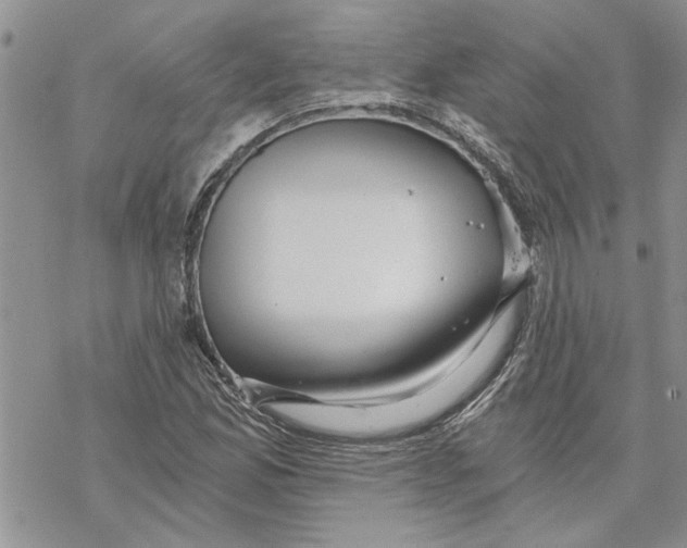 X0000069831165200606091438