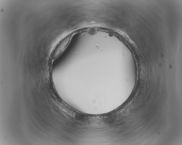 X0000069831167200606091438