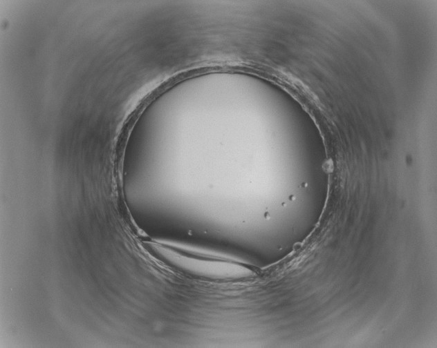 X0000069831168200606091438