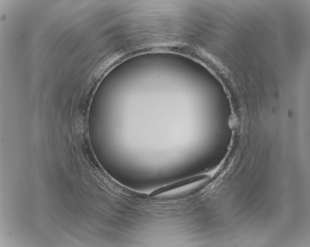 X0000069831169200606091438