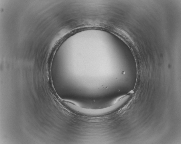 X0000069831172200606091438