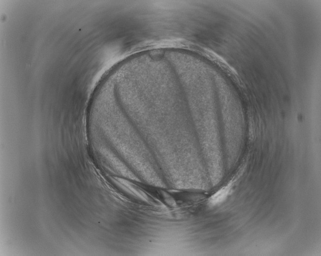 X0000069831174200606091438