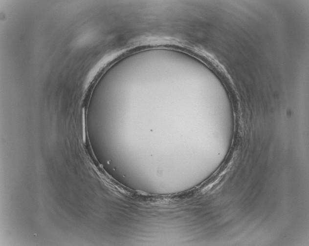 X0000069831175200606091438